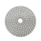 Résine Diamond Polishing Pad For Polishing de l'épaisseur 3mm 100mm 125mm
